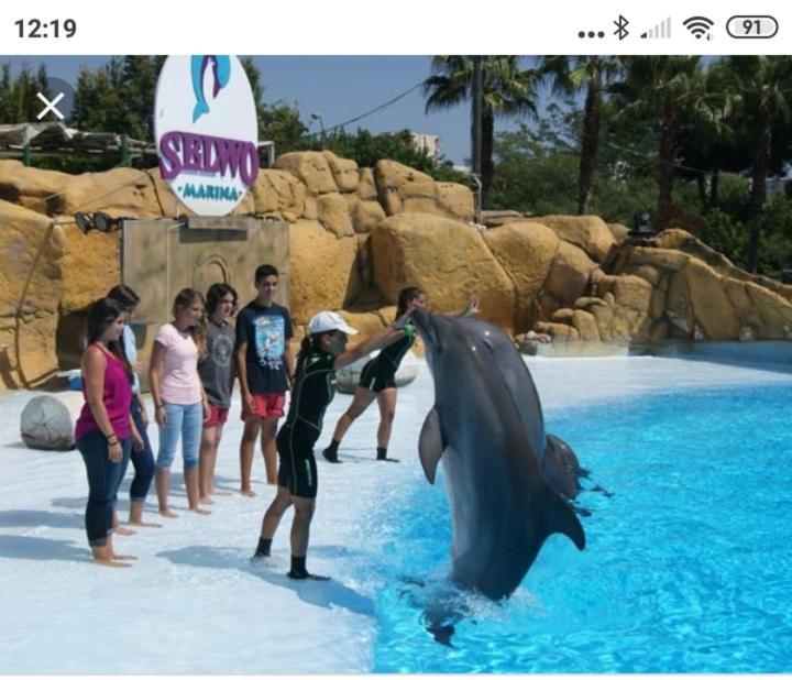 Benalmadena Minerva M&D 123 Lejlighed Eksteriør billede